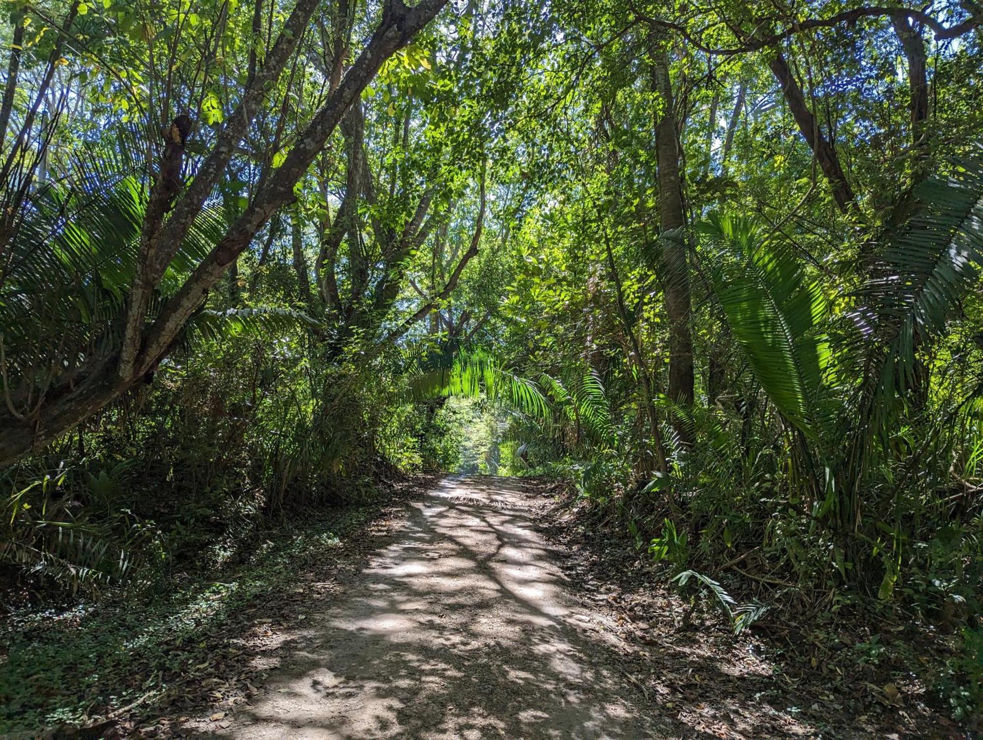 Spirit Of Jungle Lodge Sámara 외부 사진
