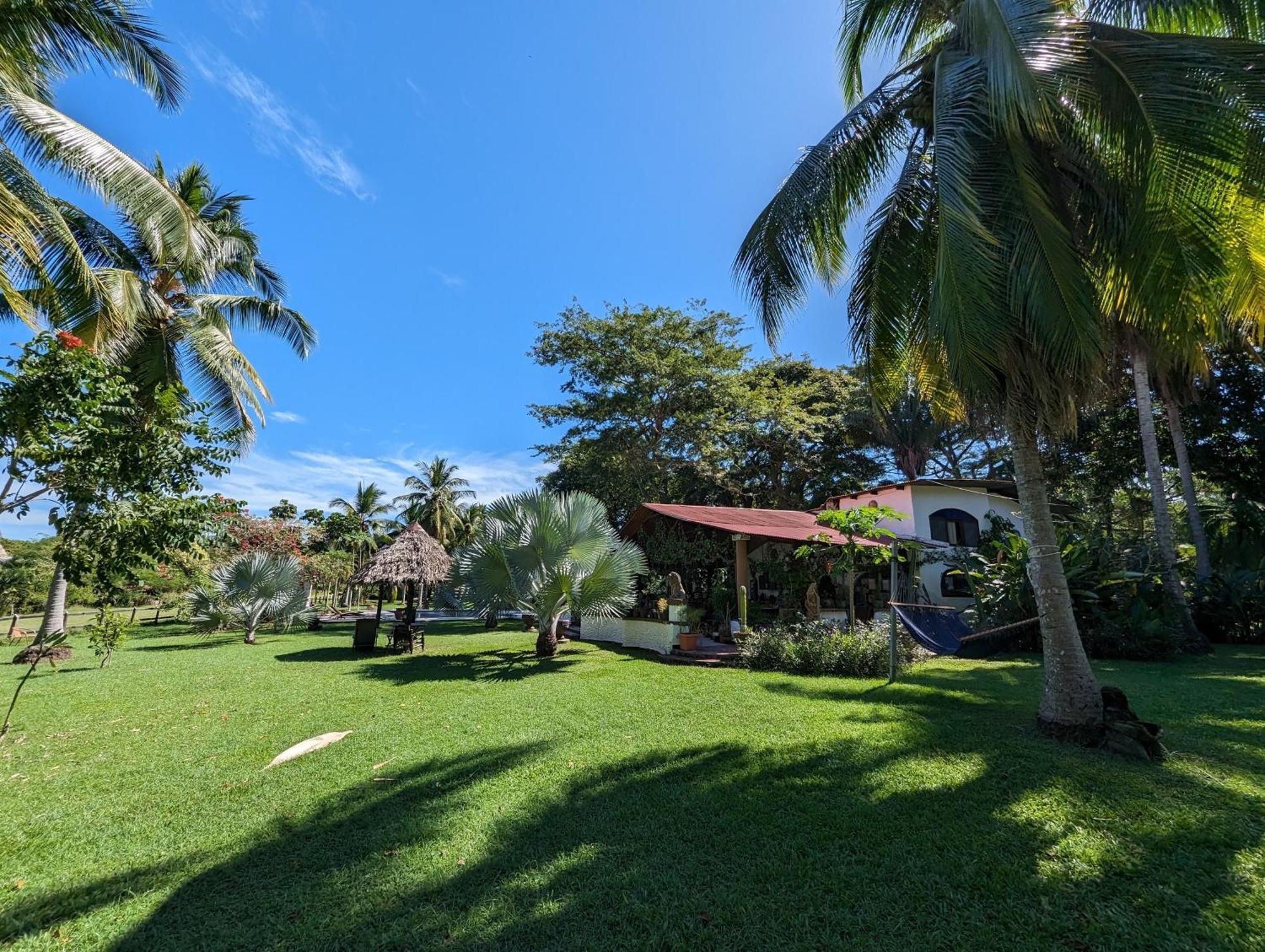 Spirit Of Jungle Lodge Sámara 외부 사진