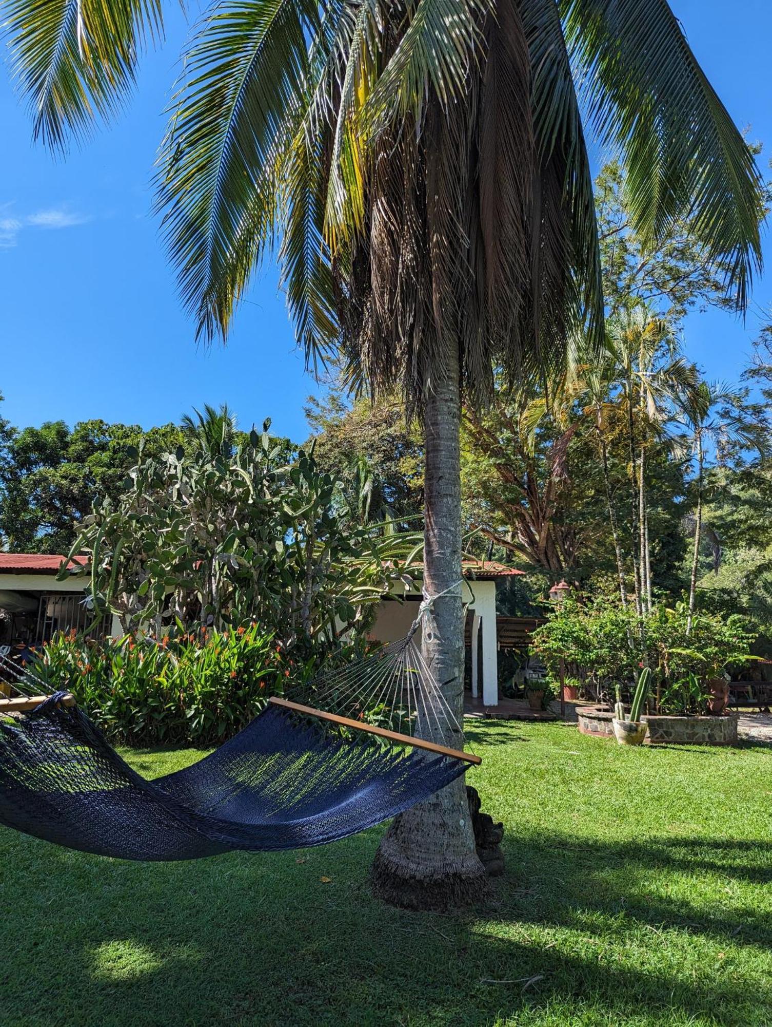 Spirit Of Jungle Lodge Sámara 외부 사진